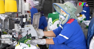 Thị trường tiêu dùng ngày 18-3-2026