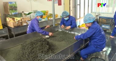 Thị trường tiêu dùng ngày 18-6-2024