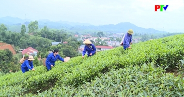 Thị trường tiêu dùng ngày 19-08-2026
