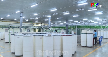 Thị trường tiêu dùng ngày 2-1-2024