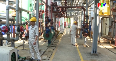 Thị trường tiêu dùng ngày 2-4-2026