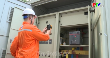 Thị trường tiêu dùng ngày 20-8-2024