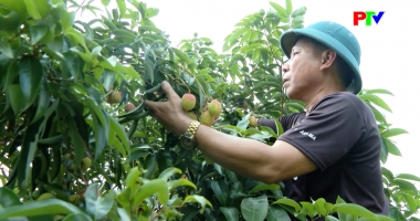 Thị trường tiêu dùng ngày 23-05-2026
