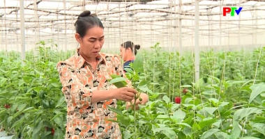 Thị trường tiêu dùng ngày 23-06-2026