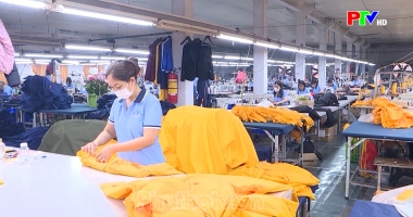 Thị trường tiêu dùng ngày 23-11-2024