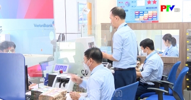 Thị trường tiêu dùng ngày 23-5-2023