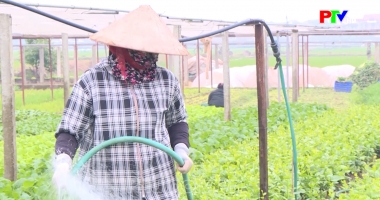 Thị trường tiêu dùng ngày 24-7-2025