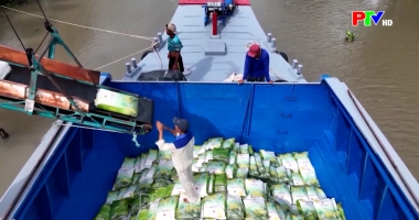 Thị trường tiêu dùng ngày 26-06-2026