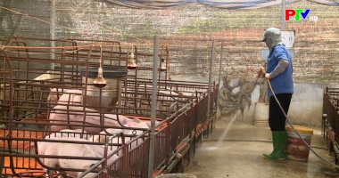 Thị trường tiêu dùng ngày 28-3-2026