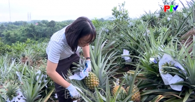 Thị trường tiêu dùng ngày 29-07-2026