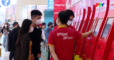 Thị trường tiêu dùng ngày 29-11-2025