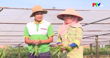 Thị trường tiêu dùng ngày 29-6-2025