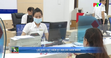 Thị trường tiêu dùng ngày 29-8-2023