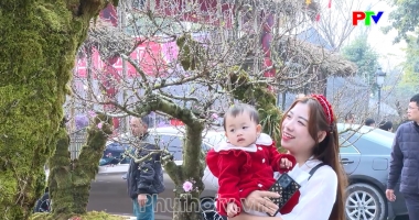 Thị trường tiêu dùng ngày 31-1-2025