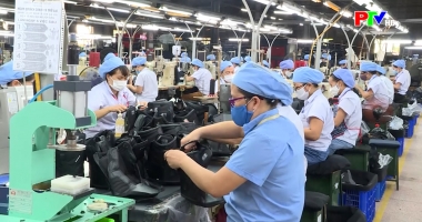 Thị trường tiêu dùng ngày 31-1-2026