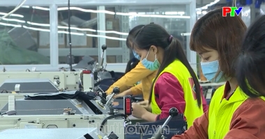 Thị trường tiêu dùng ngày 31-12-2024