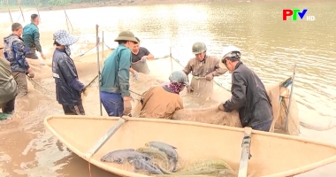 Thị trường tiêu dùng ngày 5-5-2025