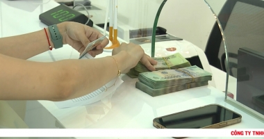 Thị trường tiêu dùng ngày 8-8-2023