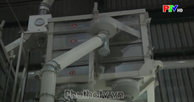 Thị trường tiêu dùng ngày 8-8-2024