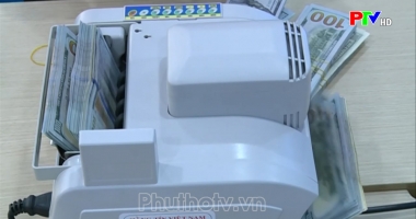 Thị trường tiêu dùng ngày 9-1-2024