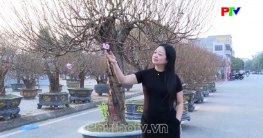 Thị trường tiêu dùng ngày 9-1-2025
