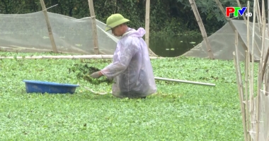 Thị trường tiêu dùng ngày 9-1-2026