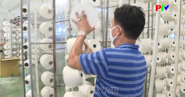 Thị trường tiêu dùng ngày 9-3-2023