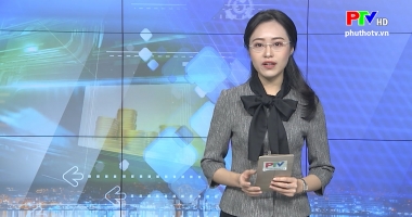 Thị trường tiêu dùng ngày 13-12-2019