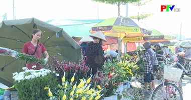 Thị trường tiêu dùng ngày 26-11-2019