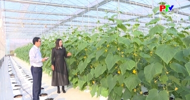 Thị trường tiêu dùng ngày 30-1-2020