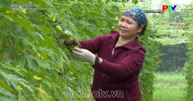 Thoát nghèo từ đổi cách làm