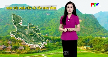 Dự báo thời tiết ngày 08-09-2026