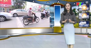 Dự báo thời tiết ngày 14-11-2019