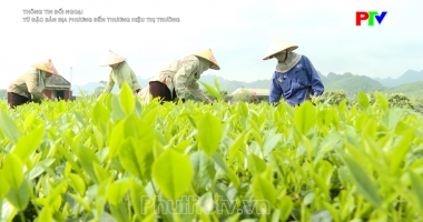 Thông tin đối ngoại - Từ đặc sản địa phương đến thương hiệu thị trường