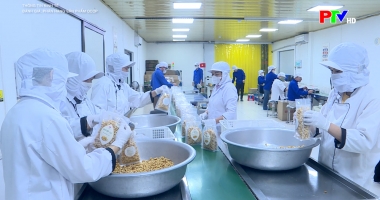 Thông tin kinh tế - Đánh giá phân hạng sản phẩm OCOP