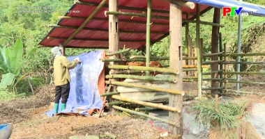 Thông tin nông nghiệp - Chủ động chống rét cho đàn vật nuôi