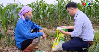 Thông tin nông nghiệp - Sẵn sàng cho vụ Đông thắng lợi