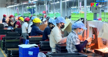 Thuế nhà nước - Thu ngân sách nhà nước: Bứt phá từ quý đầu năm