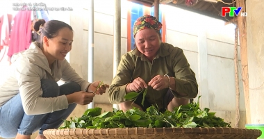 Thúc đẩy chính sách hỗ trợ tạo việc làm