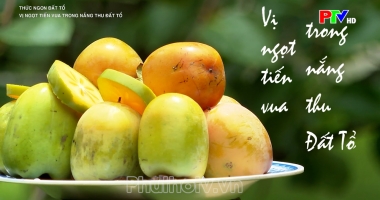 Thức ngon đất Tổ - Vị ngọt tiến vua trong nắng thu đất Tổ