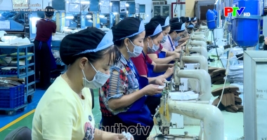 Thuế nhà nước - Luật quản lý thuế 2025