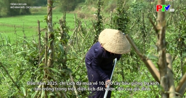 Tiếng Cao Lan - Mô hình mới, cách làm hay