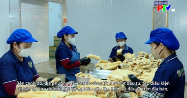 Tiếng Mường - Đổi thay sau một năm sáp nhập