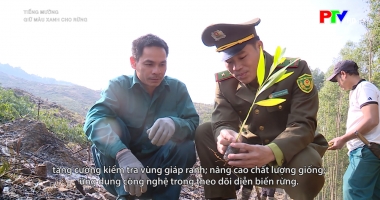 Tiếng Mường - Giữ màu xanh cho rừng