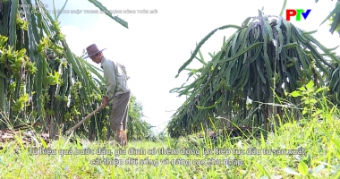 Tiếng Mường - Nâng cao tiêu chí thu nhập trong xây dựng nông thôn mới