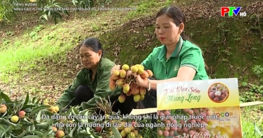 Tiếng Mường - Nâng cao vị thế nông sản nhờ chuyển đổi số, truy xuất nguồn gốc