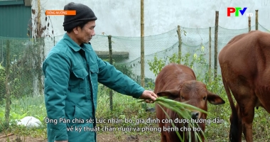 Tiếng Mường - Nỗ lực giảm nghèo vùng đồng bào dân tộc thiểu số