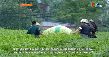 Tiếng Mường - Thực hiện hóa mục tiêu giảm nghèo