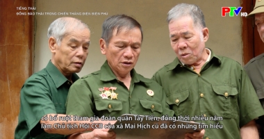 Tiếng Thái - Đồng bào Thái trong chiến thắng Điện Biên Phủ