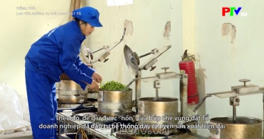 Tiếng Thái - Lan tỏa hương vị chè xanh đất Tổ